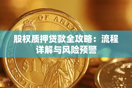 武汉股权质押贷款全攻略：流程详解与风险预警
