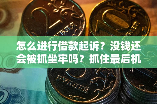 武汉怎么进行借款起诉？没钱还会被抓坐牢吗？抓住最后机会！