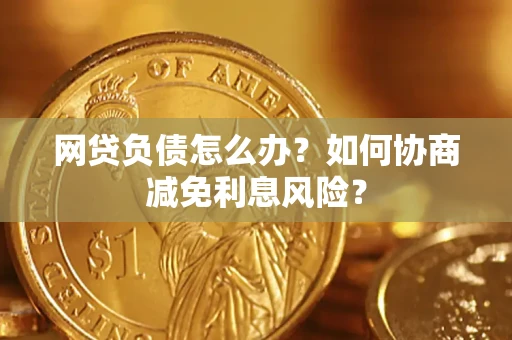 武汉网贷负债怎么办？如何协商减免利息风险？