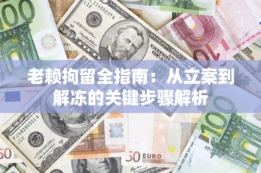 武汉老赖拘留全指南：从立案到解冻的关键步骤解析