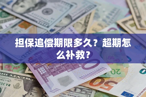 武汉担保追偿期限多久？超期怎么补救？