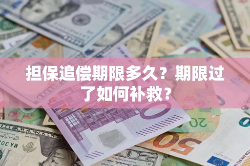 武汉担保追偿期限多久？期限过了如何补救？