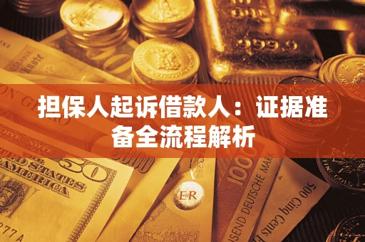 武汉担保人起诉借款人：证据准备全流程解析
