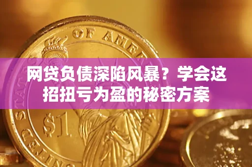 武汉网贷负债深陷风暴？学会这招扭亏为盈的秘密方案