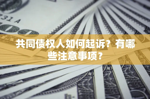 武汉共同债权人如何起诉？有哪些注意事项？